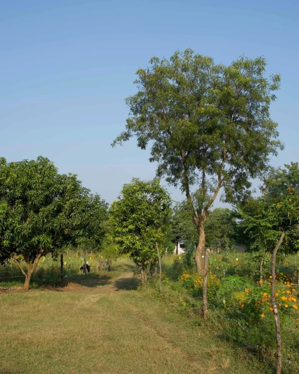 Clean & Green Villages: eine Revolution in der Baumwoll-Lieferkette